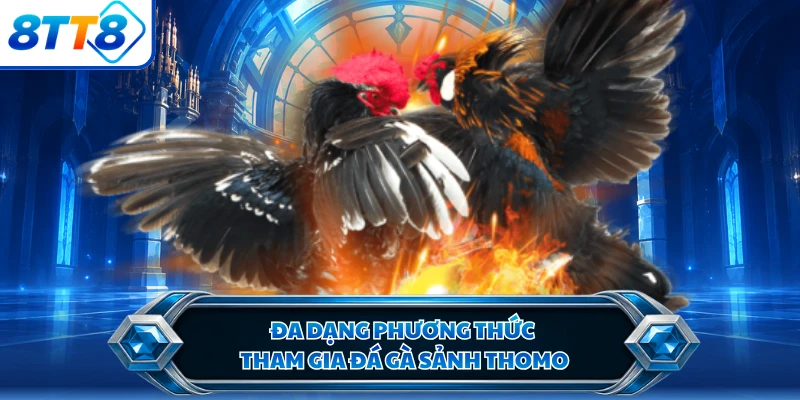 Đa dạng phương thức tham gia đá gà sảnh Thomo