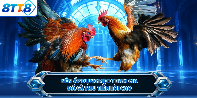 Nên áp dụng mẹo tham gia đá gà thu tiền lời cao